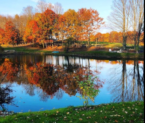 A serene pond reflecting vibrant autumn trees and a clear blue sky, surrounded by colorful foliage.