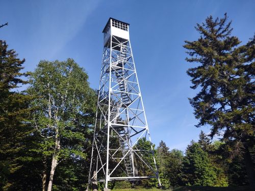 A tall metal fire lookout tower surrounded by green trees under a clear blue sky.