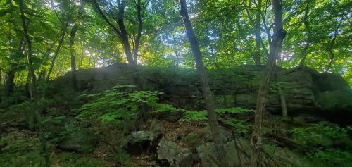 A rocky outcrop surrounded by lush green trees and sunlight filtering through the foliage.