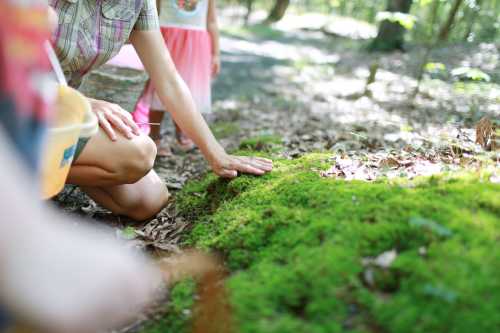 A person kneels on a mossy surface in a forest, with a child in the background exploring the natural surroundings.