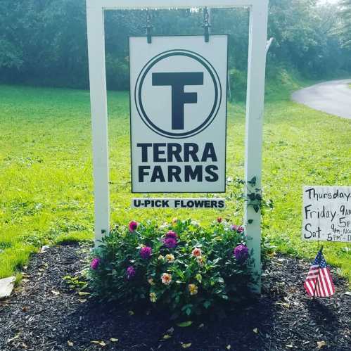 Sign for Terra Farms, featuring "U-Pick Flowers" with colorful flowers and an American flag nearby.