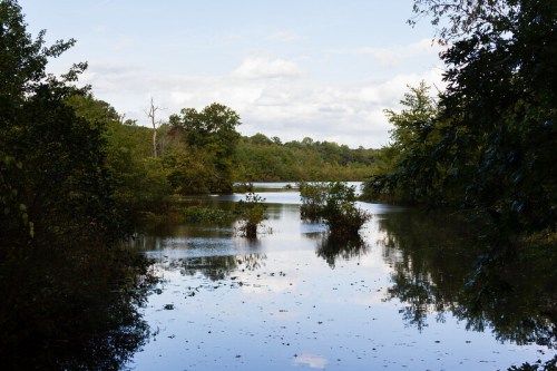 A serene landscape featuring a calm river surrounded by lush greenery and trees under a partly cloudy sky.