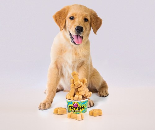 A happy golden retriever puppy sits beside a colorful ice cream container filled with dog treats.