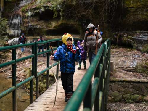 A child in a colorful jacket walks on a bridge, while adults and other children explore a wooded area nearby.