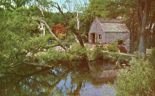 A serene landscape featuring a rustic wooden house by a pond, surrounded by lush greenery and trees.