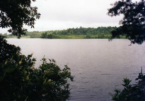 A tranquil lake surrounded by lush greenery under a cloudy sky, with trees framing the view.