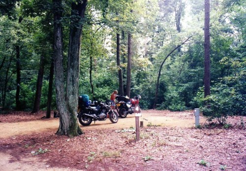 Two motorcycles parked on a dirt path surrounded by lush green trees in a forested area.