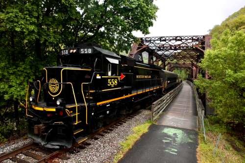 A vintage black steam locomotive, number 558, parked near a bridge surrounded by lush green trees.