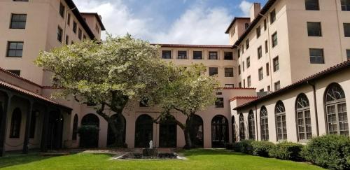 A courtyard with a large tree, fountain, and surrounding buildings featuring arched windows and a tiled roof.