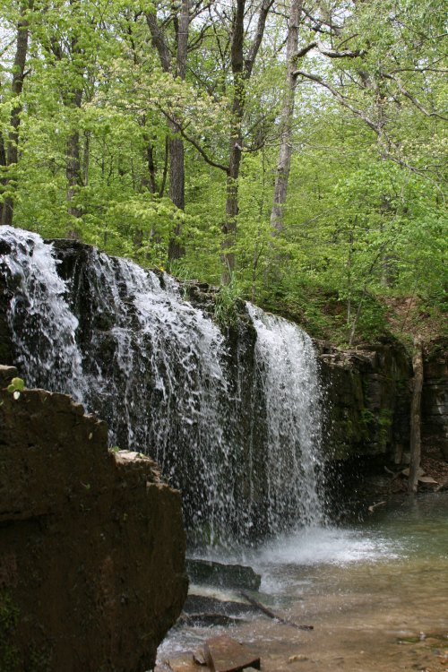A serene waterfall cascades over rocky ledges, surrounded by lush green trees in a tranquil forest setting.
