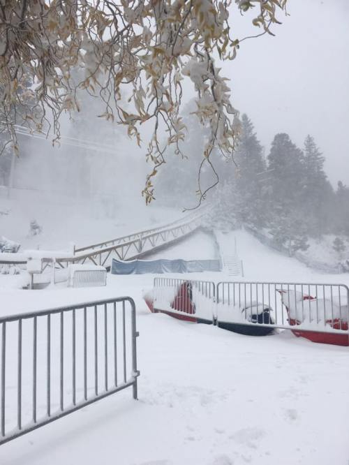Snow-covered landscape with a wooden ramp, surrounded by snowdrifts and trees, under a cloudy, snowy sky.
