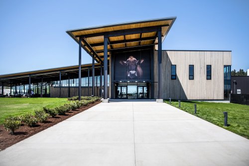 Modern building with a large cow image on the facade, surrounded by green grass and clear blue skies.