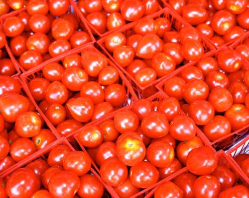 Baskets filled with bright red tomatoes arranged in a colorful display.