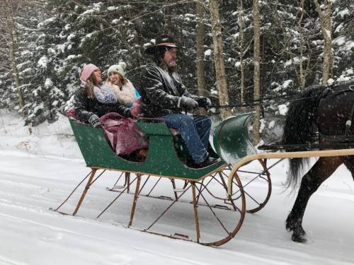 A horse-drawn sleigh carries three people through a snowy forest, surrounded by trees and falling snowflakes.