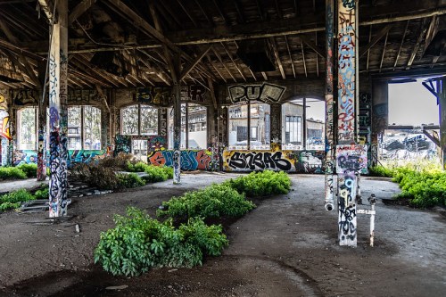 Abandoned building interior with graffiti-covered walls and patches of greenery on the ground.