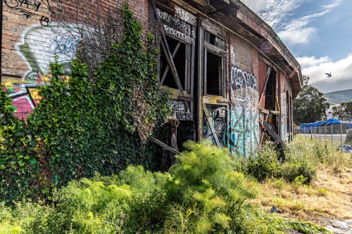 Abandoned building covered in graffiti and overgrown with plants, set against a cloudy sky.