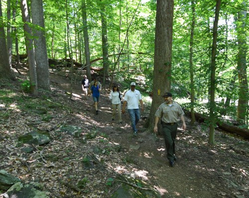 A group of people walking along a wooded trail, surrounded by green trees and rocky terrain.