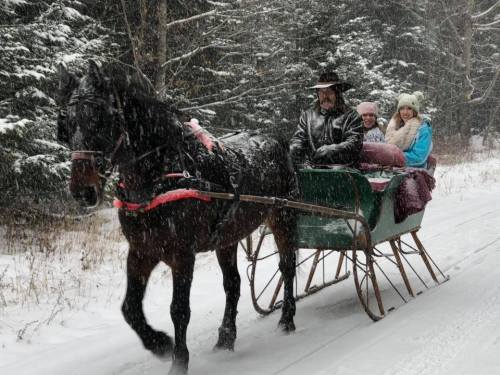 A horse-drawn sleigh carries three people through a snowy forest, with snowflakes falling around them.