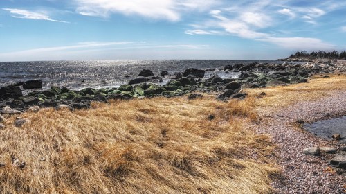 A coastal scene featuring rocky shores, golden grass, and a shimmering ocean under a blue sky with scattered clouds.