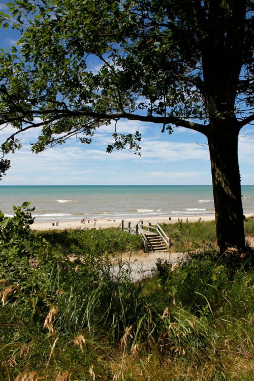 A serene beach view framed by trees, with gentle waves and people enjoying the shoreline under a clear blue sky.