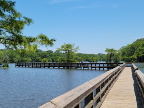 A wooden pier extends over calm water, surrounded by lush greenery and a clear blue sky.