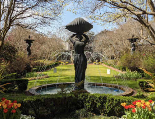 A serene garden featuring a statue holding a shell, surrounded by fountains and colorful tulips in bloom.