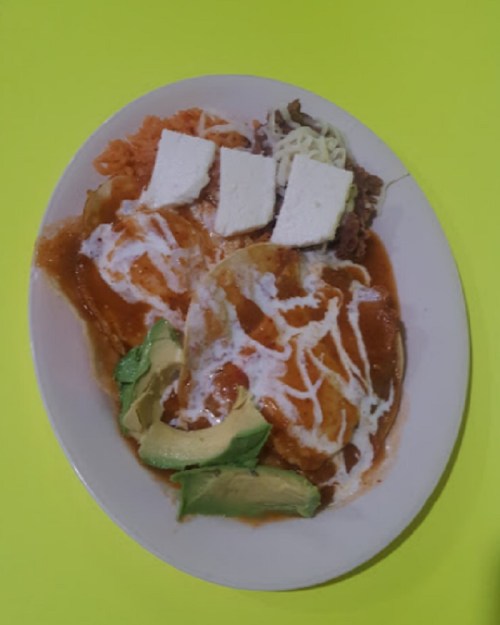 A plate of enchiladas topped with sauce, sour cream, avocado slices, rice, and cheese on a bright yellow background.