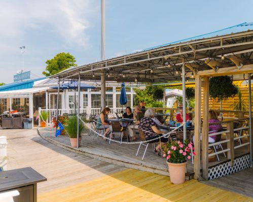 A group of people dining on a sunny deck, surrounded by plants and flowers, with a blue sky overhead.