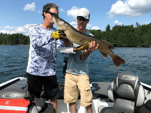 Two men on a boat hold a large northern pike fish, with a scenic lake and trees in the background.