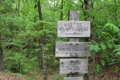 Wooden signpost in a forest, indicating directions to Nature Play Forest, Amphitheatre, and Cedar Lane.