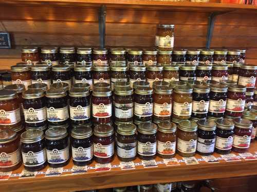 A display of various jars of jam and preserves on wooden shelves, showcasing a colorful assortment of flavors.