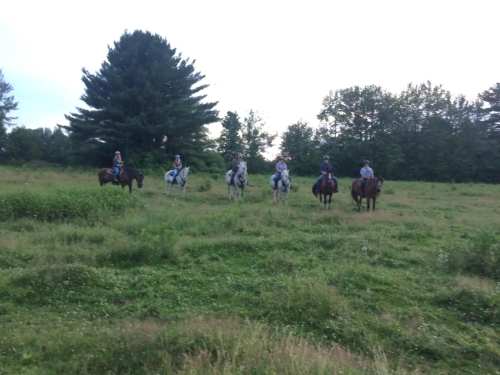 A group of six riders on horseback stands in a grassy field surrounded by trees.
