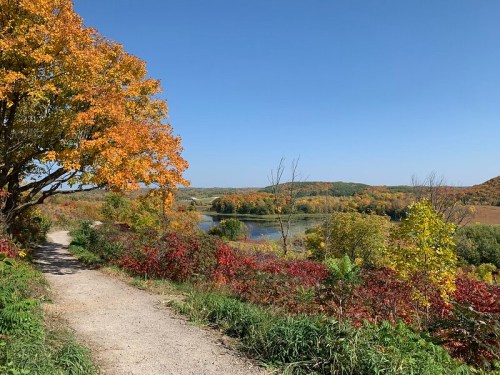 A scenic path lined with colorful autumn trees leads to a tranquil lake surrounded by vibrant fall foliage.