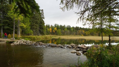 A serene lake surrounded by trees, with autumn colors and a rocky shoreline under a cloudy sky.