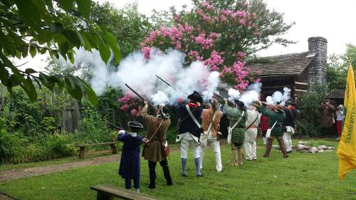A group of reenactors in historical attire fires muskets in front of a log cabin, surrounded by blooming trees.