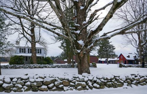 A snowy landscape featuring a house, a stone wall, and red barns surrounded by bare trees.