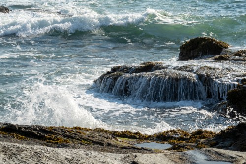Waves crashing over rocky shoreline with seaweed, creating a misty, dynamic coastal scene.