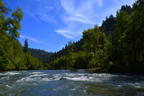 A serene river flows through lush green trees under a bright blue sky with scattered clouds.