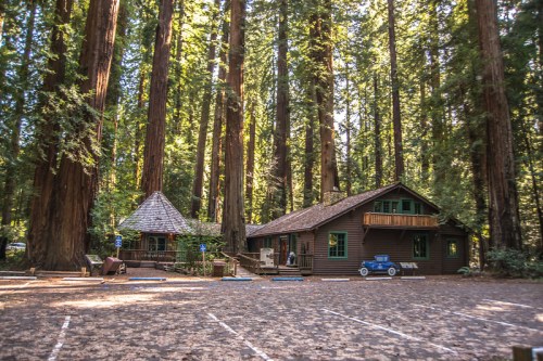 A rustic cabin and a small round building nestled among towering redwood trees in a serene forest setting.