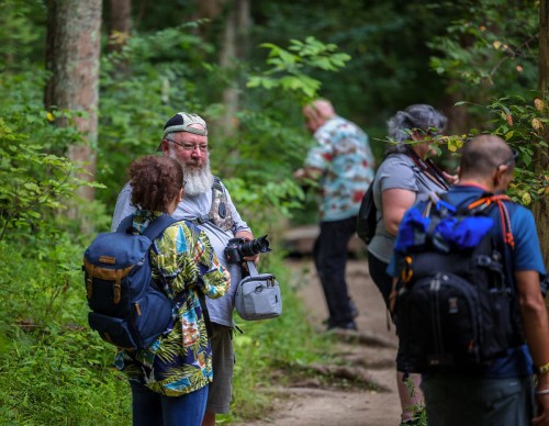 A group of hikers with backpacks on a wooded trail, some taking photos and others exploring the surroundings.