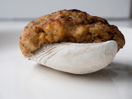 A large stuffed clam on a white plate, showcasing a golden-brown topping and a smooth, white shell.