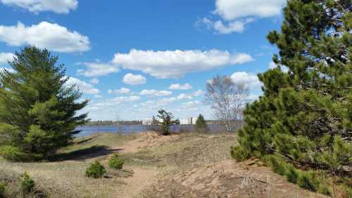 A scenic view of a lake surrounded by trees and grass, with a city skyline visible in the distance under a blue sky.