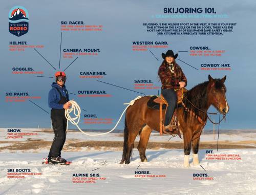 A man and a woman on a horse, with labels highlighting ski gear and skijoring basics in a snowy landscape.