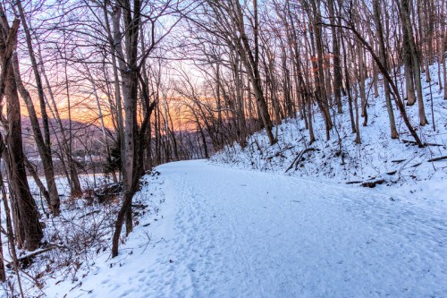 A snowy path winds through a forest of bare trees at sunset, with soft light illuminating the landscape.