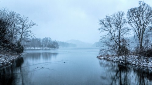 A serene winter landscape featuring a snowy lake surrounded by bare trees and a misty atmosphere.
