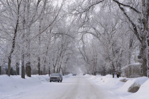 A snowy street lined with frosted trees, creating a serene winter landscape. A car is parked on the side.