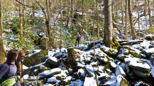 Two hikers navigate a snowy, rocky landscape in a forest, with trees and a stream in the background.