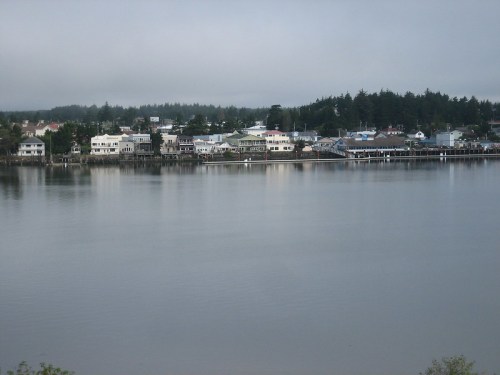 A calm waterfront scene featuring a small town with buildings along the shore, surrounded by trees and fog.