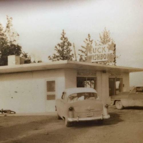 A vintage diner called "Lucky Wishbone" with classic cars parked outside, surrounded by trees.