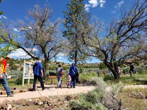 A group of people walking along a path in a green, sunny landscape with trees and shrubs.